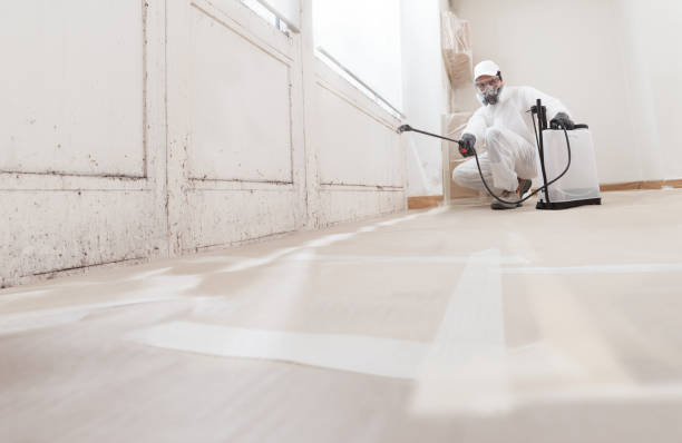 24/7 Emergency Mold Remediation experts in Paeonian Springs, VA