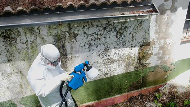 Top rated local Mold Remediation specialists in Paeonian Springs, VA